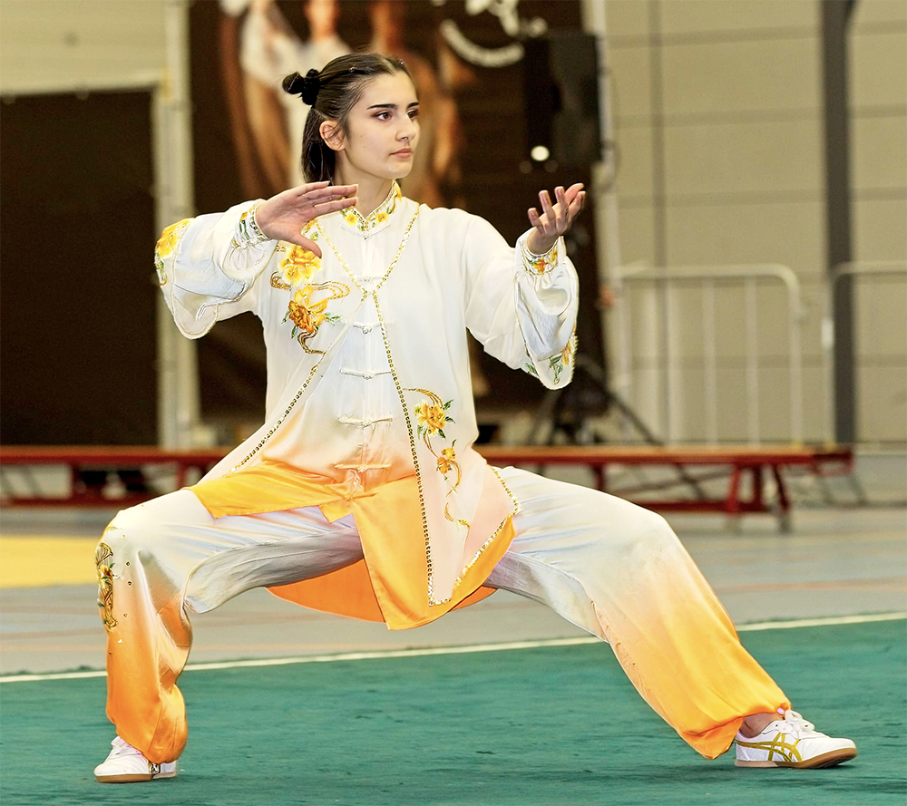 hoyerwushu